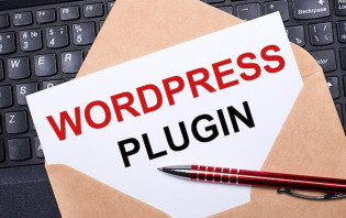Plugins sur WordPress : comment faire pour résoudre les conflits ?